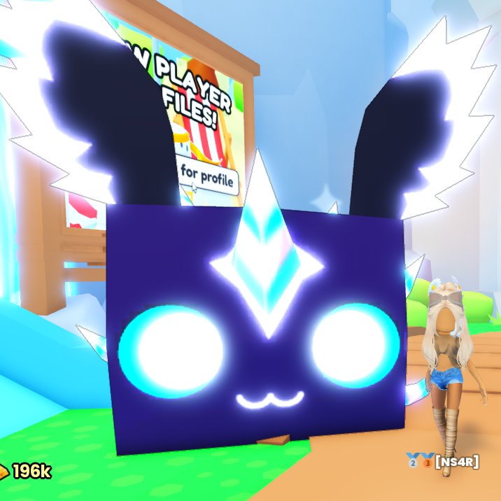 Miss CozyTrades tweet media