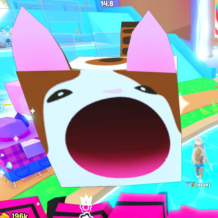 Miss CozyTrades tweet media