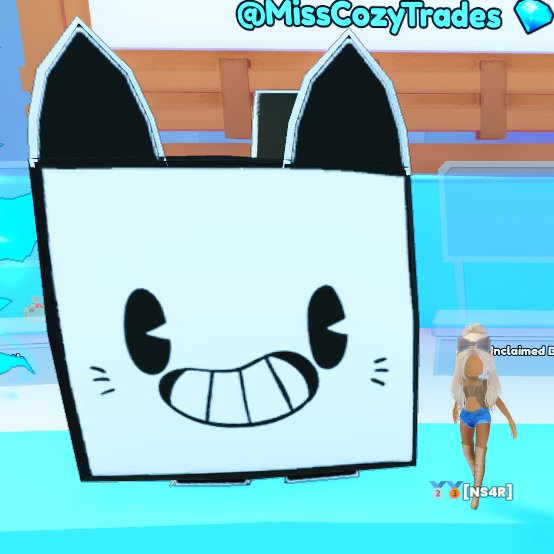 Miss CozyTrades tweet media