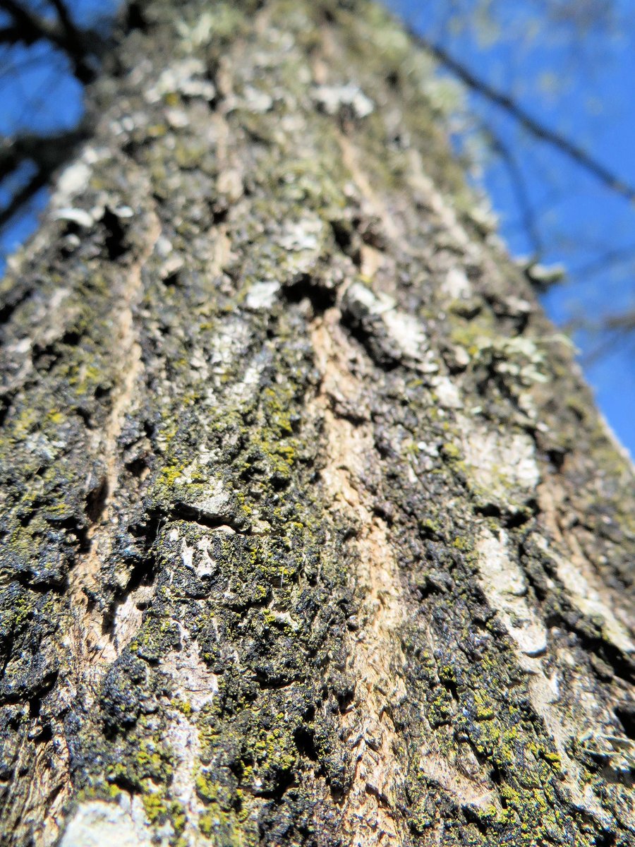 Mrs. Sizzle tweet media