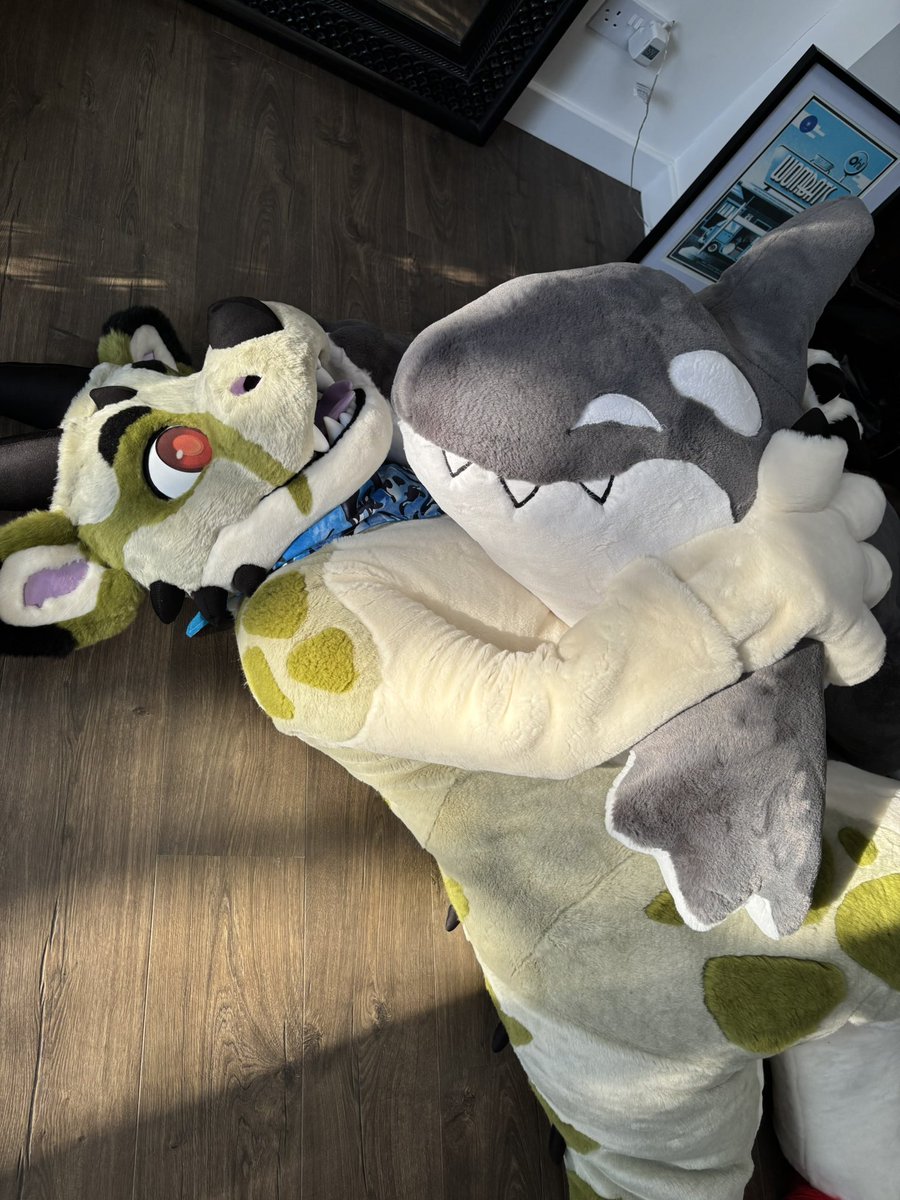 Cuddle time for Fursuit Friday! 🐳