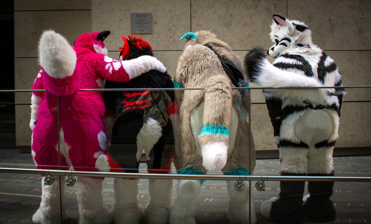 Some bonus butts too! 😂