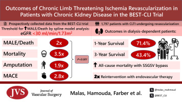 🔬 New analysis from the BEST-CLI trial. Critical insights on chronic limb-threatening ischemia in patients with chronic kidney disease:

Revascularization improves outcomes but with higher risk in CKD patients.

Key findings help tailor treatment for this vulnerable population.