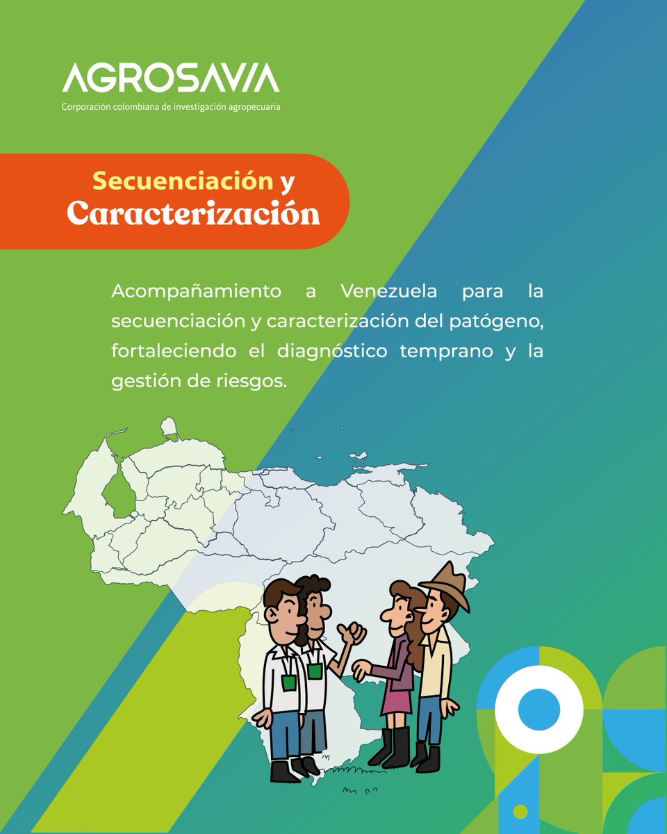 SomosAGROSAVIA's tweet photo. 🧵1/3 🔬 Más de 9.300 personas capacitadas en 18 países.
AGROSAVIA lidera una agenda internacional para enfrentar el Fusarium Raza 4 Tropical (Foc R4T), una de las amenazas más graves para la producción de banano y plátano. 👇 https://t.co/gC7UC2qjV2
