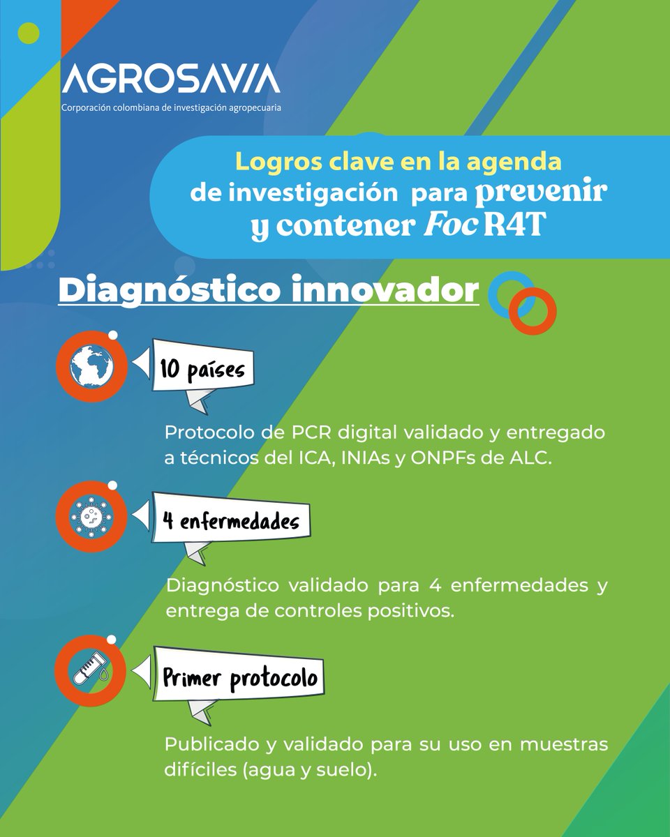 SomosAGROSAVIA's tweet photo. 🧵1/3 🔬 Más de 9.300 personas capacitadas en 18 países.
AGROSAVIA lidera una agenda internacional para enfrentar el Fusarium Raza 4 Tropical (Foc R4T), una de las amenazas más graves para la producción de banano y plátano. 👇 https://t.co/gC7UC2qjV2