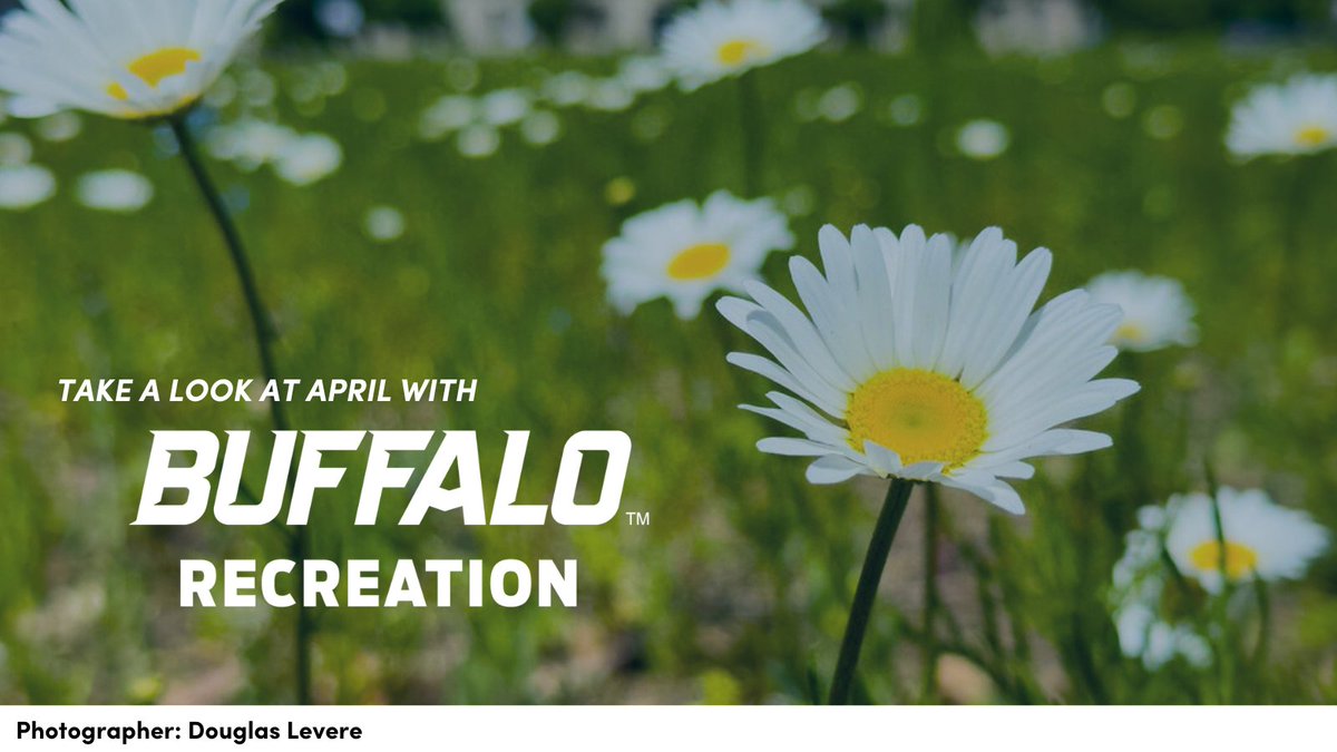 UBrecreation's tweet image. Get ready for an action-packed April! 🏋️‍♂️🏀 Join us for the Intramural Sports Powerlifting Competition, 3-on-3 Basketball Tournament, and our Unplug &amp;amp; Play events. Stay active and have fun! 💪 #BuffaloRec #Intramurals #GetActive #UnplugAndPlay