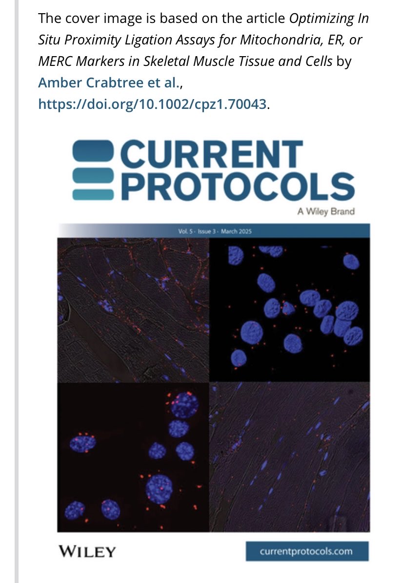 Amber Crabtree (@crabroll) on Twitter photo Recent co-first author publication featured on the cover of <a href="/Curr_Protocols/">Current Protocols</a> doi.org/10.1002/cpz1.7… <a href="/phdgprotein86/">Antentor Othrell Hinton, Jr PhD (A.J. Hinton)</a> <a href="/AtHinton/">Hinton Laboratory at Vanderbilt</a> <a href="/VUBasicSciences/">Vanderbilt School of Medicine Basic Sciences</a> Recent co-first author publication featured on the cover of <a href="/Curr_Protocols/">Current Protocols</a> doi.org/10.1002/cpz1.7… <a href="/phdgprotein86/">Antentor Othrell Hinton, Jr PhD (A.J. Hinton)</a> <a href="/AtHinton/">Hinton Laboratory at Vanderbilt</a> <a href="/VUBasicSciences/">Vanderbilt School of Medicine Basic Sciences</a>