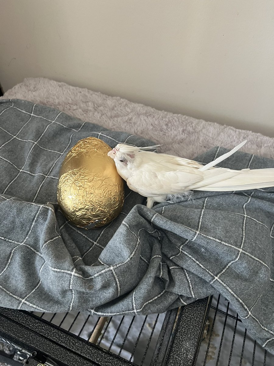 Pretty sure this one isn’t mine but I will love it anyway