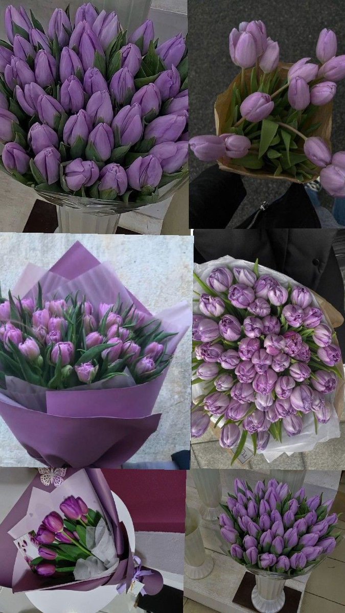 tutututututulip's tweet photo. https://t.co/V4qCHJU6qA