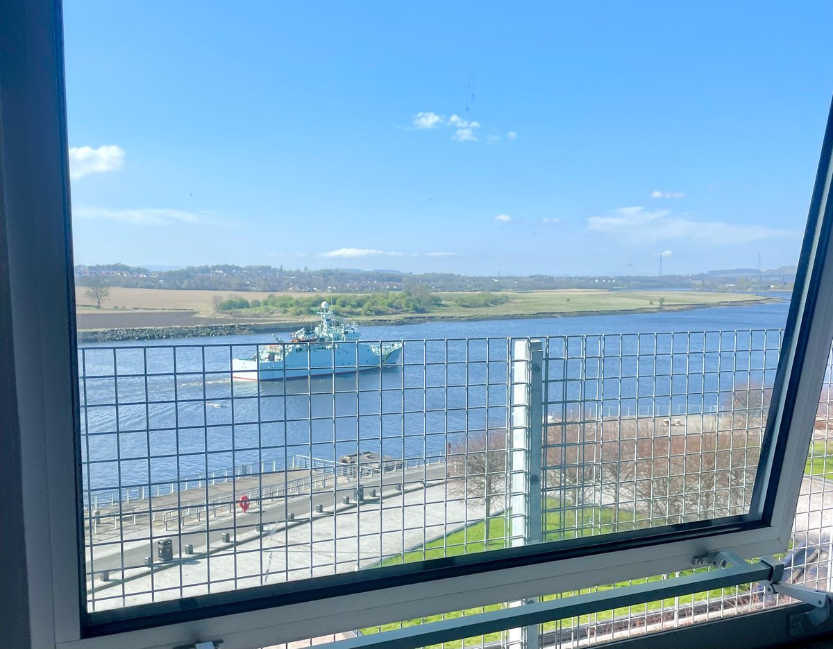 Angela Pignatelli tweet media