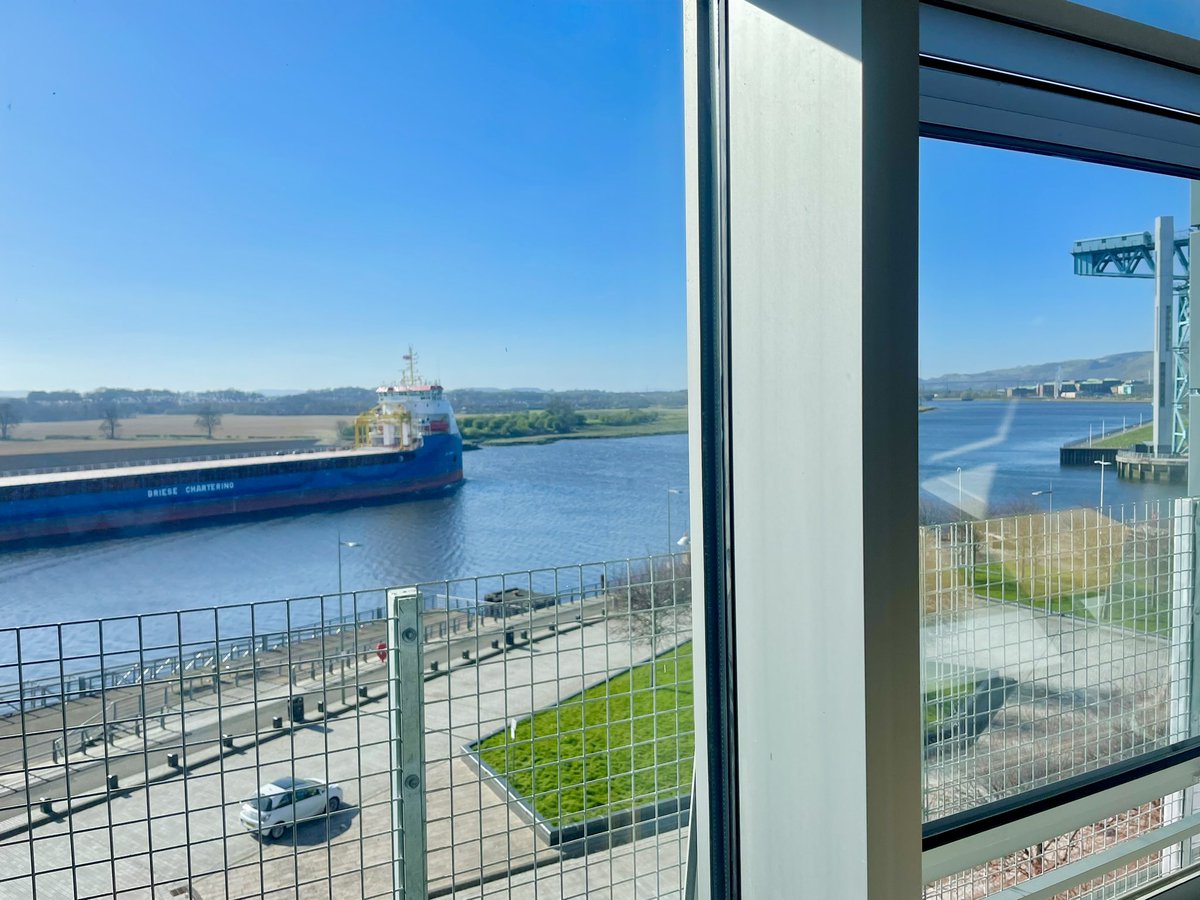 Angela Pignatelli tweet media