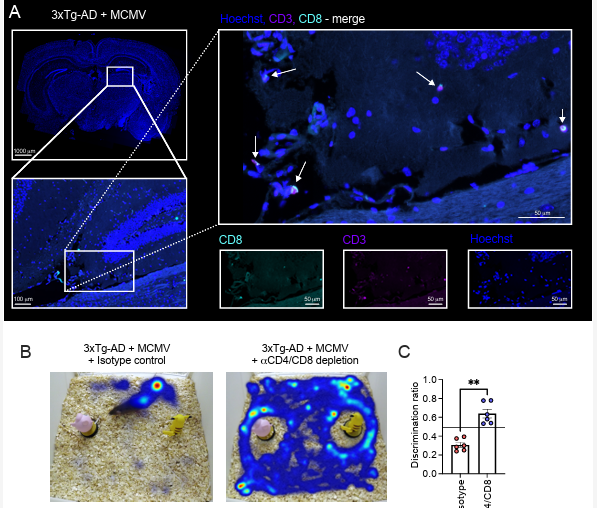 Waggoner Lab tweet media