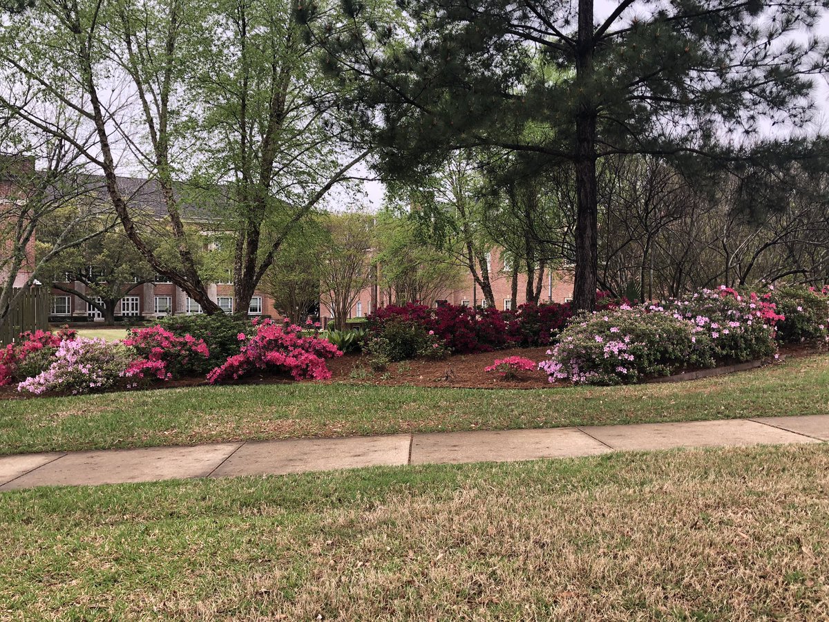 Atticus Radcliffe tweet media