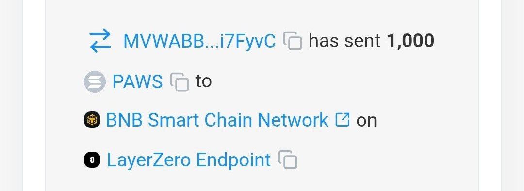 unitedachiever's tweet photo. 1,000 $PAWS transferred to BNB Smart Chain via LayerZero.

Just a routine transaction, or is something bigger coming?

Could this mean a Binance listing is on the horizon? https://t.co/Eq1Sg3C1sN