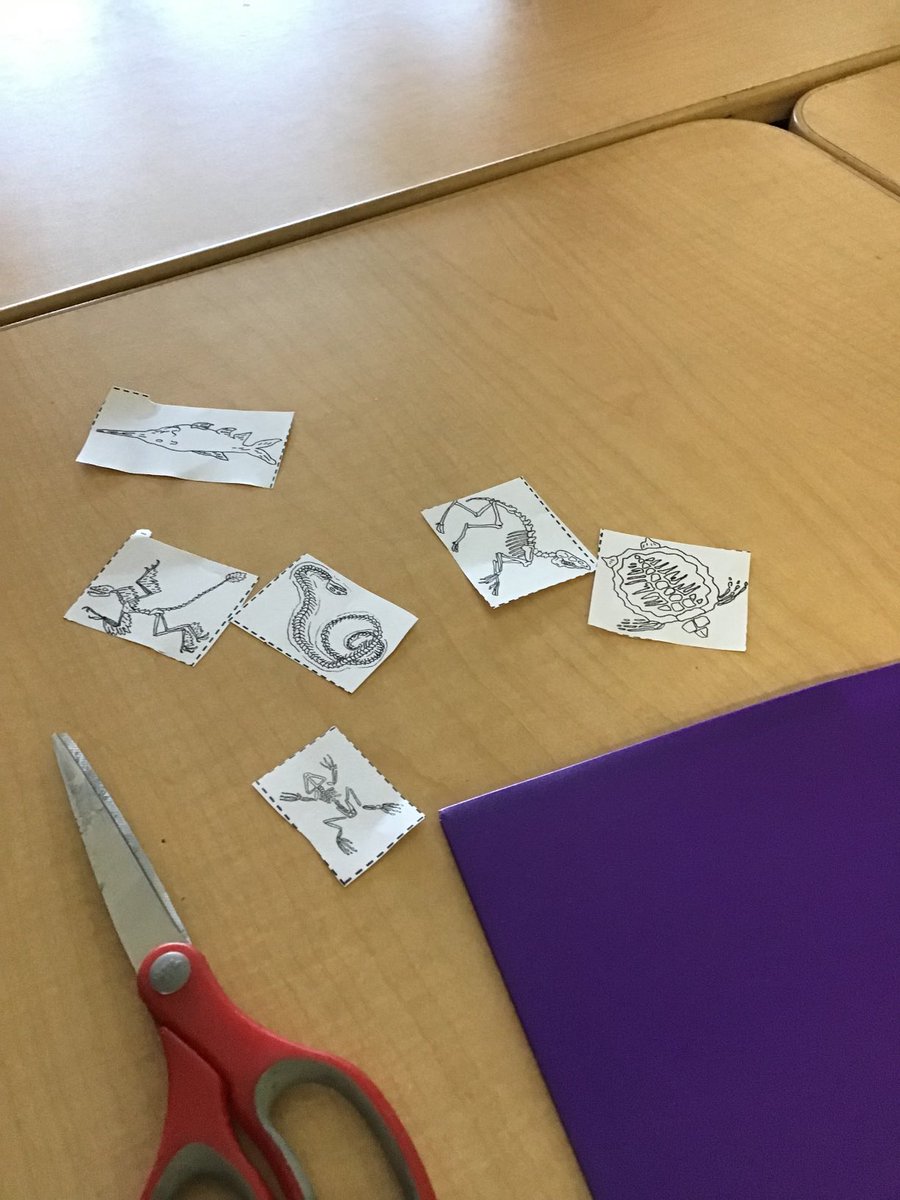 Fossils and friends…Thanks Reese!