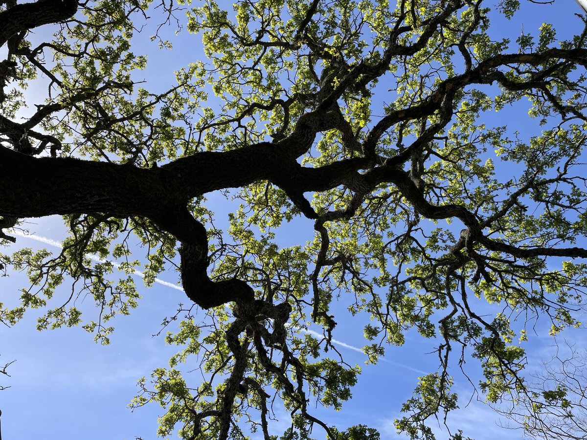 Tony Lawlor tweet media