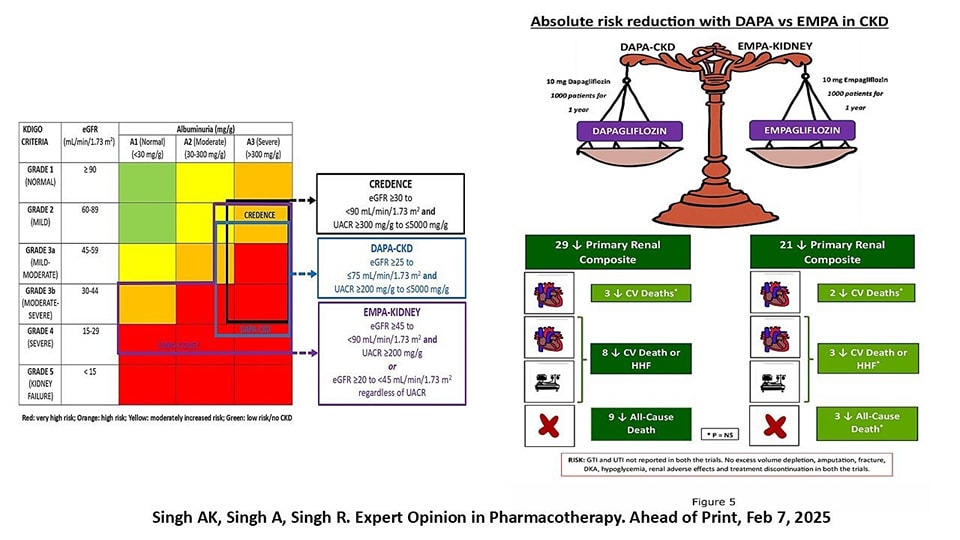 ZHeart11768530's tweet image. 🔴Have SGLT-2 inhibitors DELIVERed an EMPhatic win in heart failure and chronic kidney disease?⤵️ #2025Review  

🔹Critically analysing #Empa vs #Dapa in #HF and #CKD-

🔹tandfonline.com/doi/full/10.10… 
 #Cardiology #FOAMed  #medstudent #paramedic #Cardiology #CardioEd