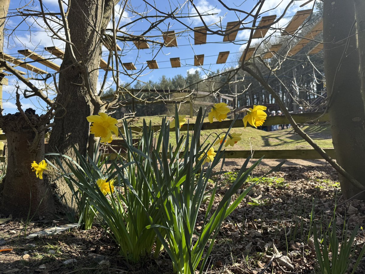 Wishing all our School visitors a Happy Easter Holiday! 🐰 after what has been a busy and beautifully sunny week at Hilltop!