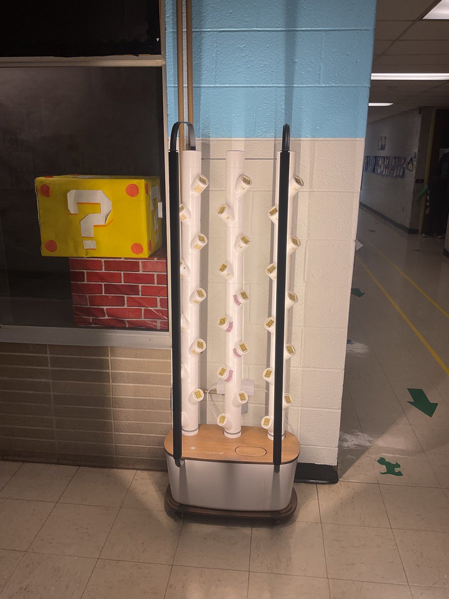 James Madison Primary School tweet media