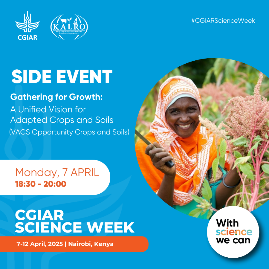 CIMMYT's tweet photo. 🌍 Kicking off #CGIARScienceWeek, join us for the side event:
Gathering for Growth: A Unified Vision for Adapted Crops & Soils (VACS Opportunity Crops & Soils). 🌱 Discover how we are driving resilient #AgSystems through collective action!
🔗 https://t.co/J32bItPQfN
@CGIAR @FAO https://t.co/ILJK9NbvDY
