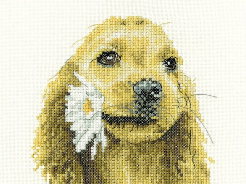 Are you local to maries cross stitch, why not come along for a visit and a browse.  Call us on 01376 777017 to visit our working warehouse

mariescrossstitch.co.uk/daisy-cocker-s…

 #mariescrossstitch
#crossstitch
#mcs
#mariescrafts
#heritage