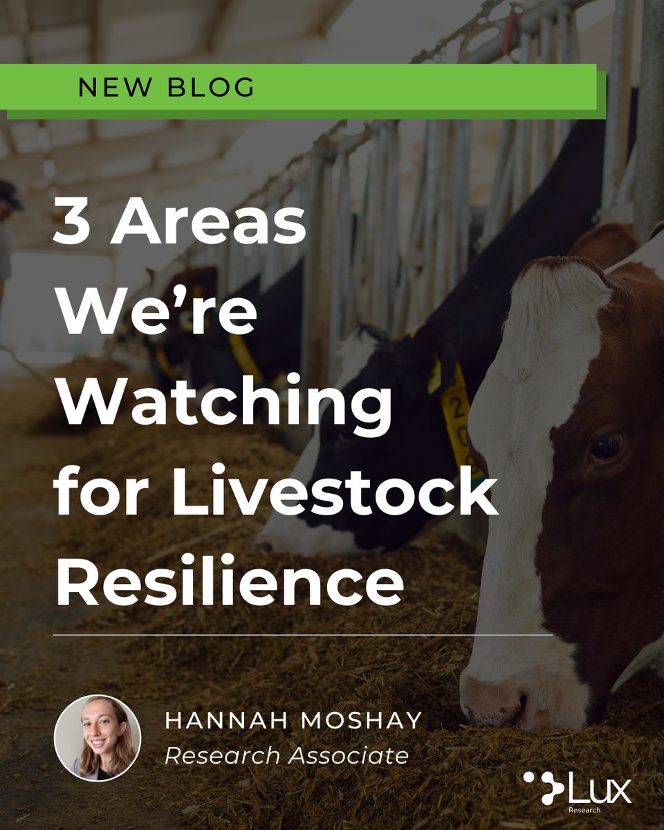 Lux Research (@luxresearch) on Twitter photo Whatโs next for livestock innovation?. ๐๐๐
Ahead of the <a href="/AnimalAgTech/">Animal AgTech Innovation Summit</a> Innovation Summit, Lux Research shares 3 key themes weโre tracking in our latest blog lux.works/42m6lLt #AgTech #LivestockResilience Whatโs next for livestock innovation?. ๐๐๐
Ahead of the <a href="/AnimalAgTech/">Animal AgTech Innovation Summit</a> Innovation Summit, Lux Research shares 3 key themes weโre tracking in our latest blog lux.works/42m6lLt #AgTech #LivestockResilience