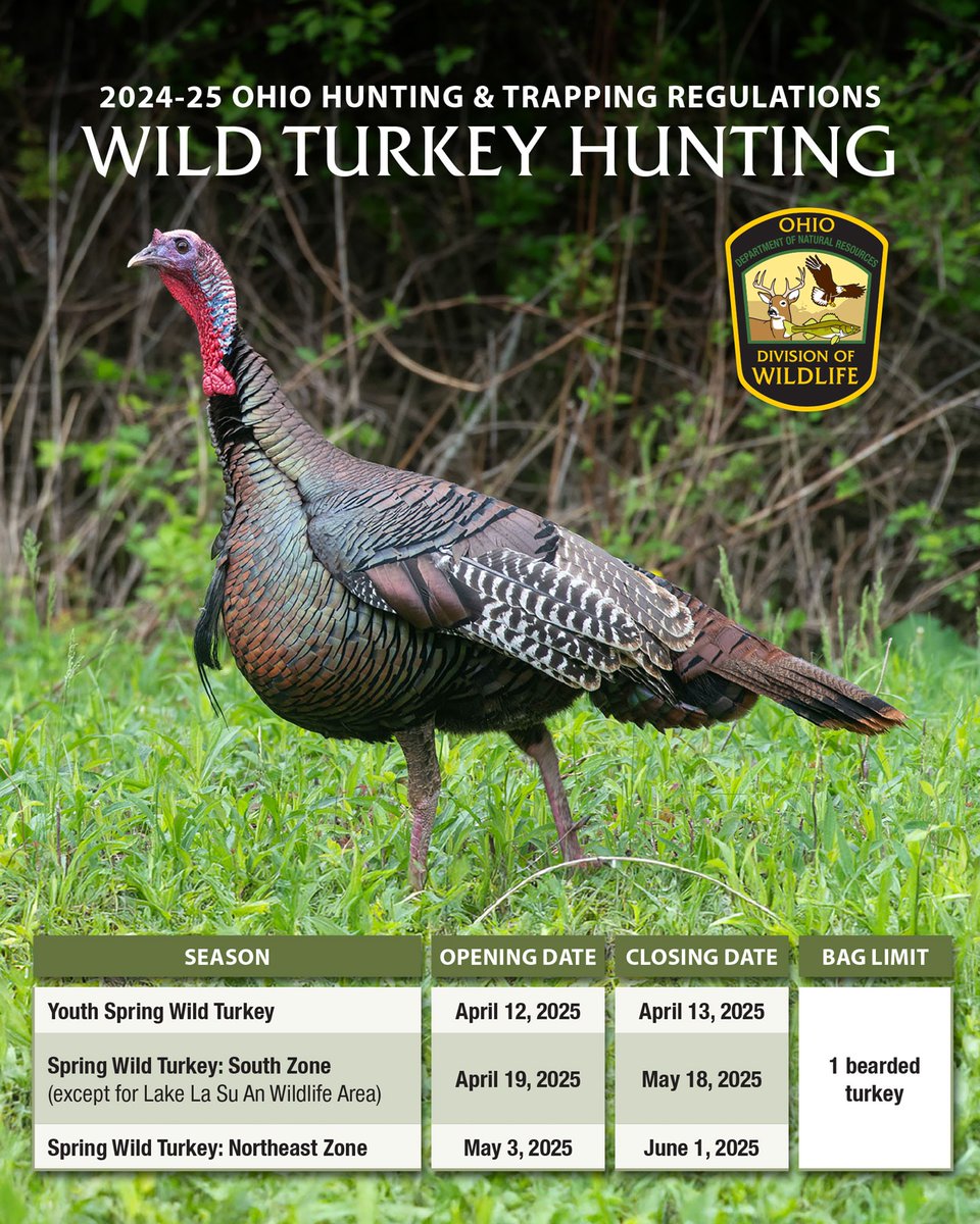 🦃 Spring Wild Turkey Hunting Dates 📅 ⭐ Statewide limit is 1