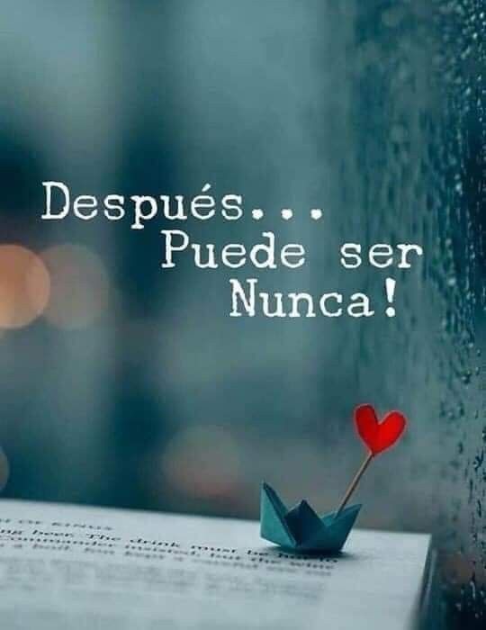 EscueladeVida21's tweet photo. https://t.co/M6YXNqD3rL