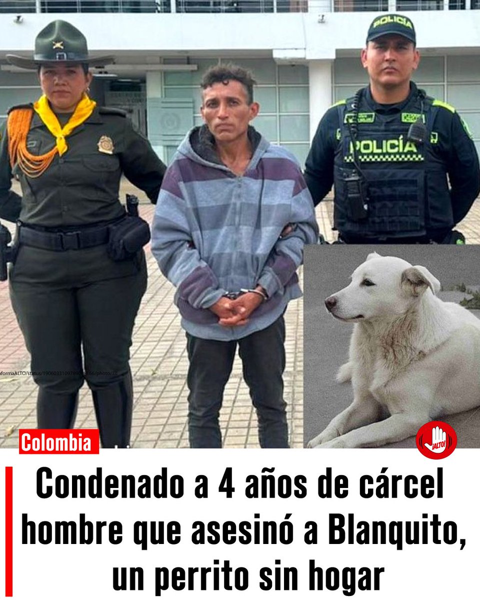 Memes Universidad Nacional (@nacional_memes) on Twitter photo Felicitaciones a la Fiscalía general y al CTI de la policía, mano dura contra los asesinos 🐺
<a href="/FiscaliaCol/">Fiscalía Colombia</a> <a href="/PoliciaColombia/">Policía de Colombia</a> Felicitaciones a la Fiscalía general y al CTI de la policía, mano dura contra los asesinos 🐺
<a href="/FiscaliaCol/">Fiscalía Colombia</a> <a href="/PoliciaColombia/">Policía de Colombia</a>