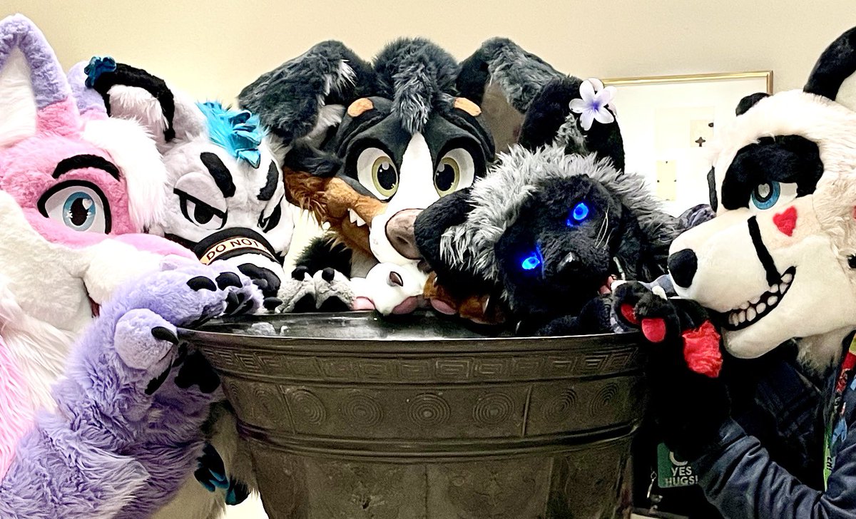 The hotel at #GSFC2025 provided some pretty fancy water bowls for the attendees last weekend. #FursuitFriday
