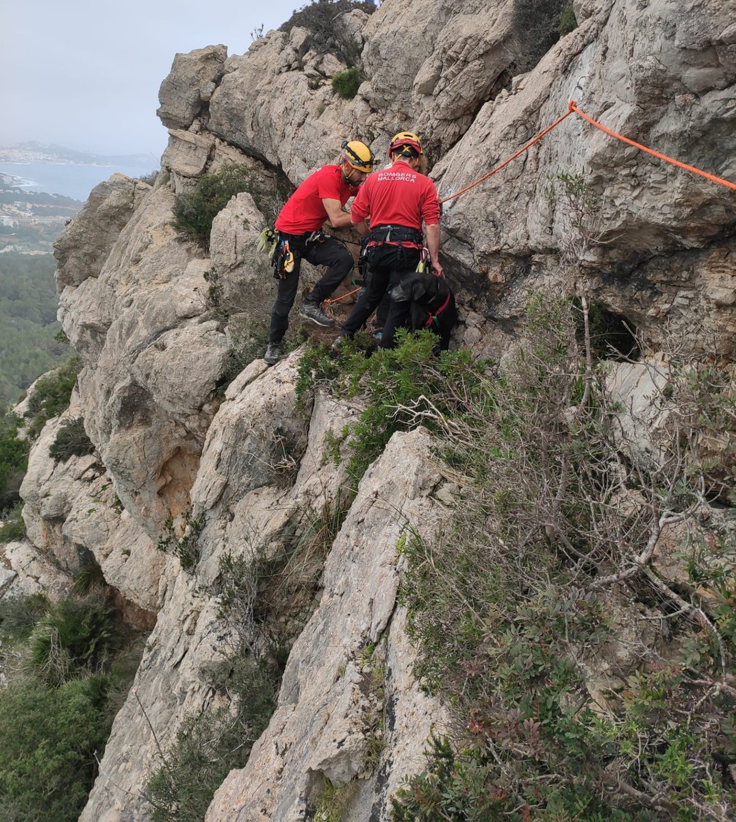 BombersdeMca's tweet image. Rescat d'una dona i el seu ca al Puig des Corb a Capdepera. S'havien quedat bloquejats sense poder pujar ni baixar.
#ParcArtà
#ParcInca
#GrupdeRescatdeMuntanya