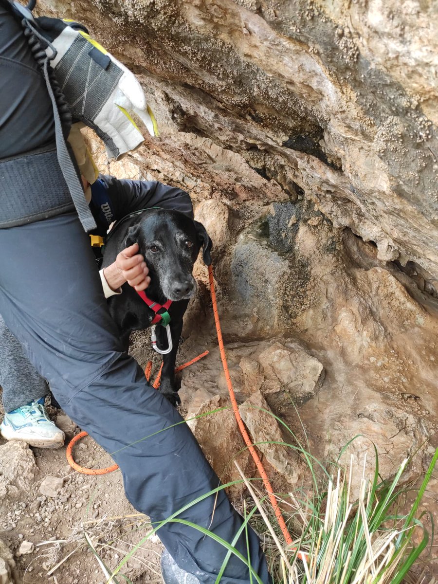 BombersdeMca's tweet image. Rescat d'una dona i el seu ca al Puig des Corb a Capdepera. S'havien quedat bloquejats sense poder pujar ni baixar.
#ParcArtà
#ParcInca
#GrupdeRescatdeMuntanya