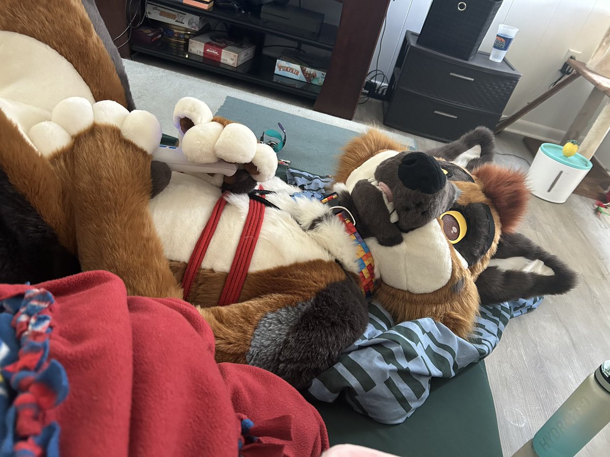⛓️ pup roo tweet media