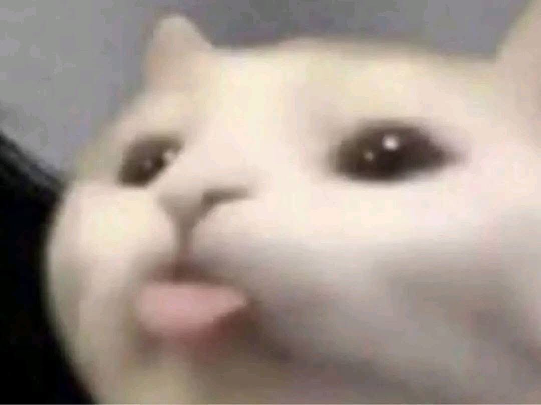 mei 𝝑୧ (slow) tweet media