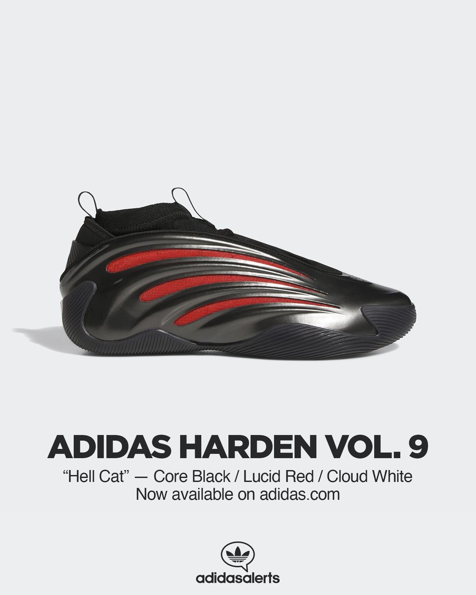 🆕 The “Hell Cat