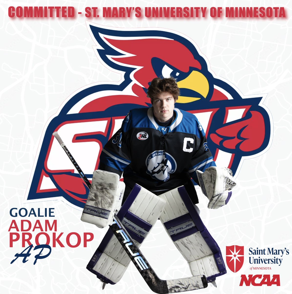 🚨 COMMITMENT ALERT 🚨
We’re thrilled to announce that Adam Prokop has committed to playing NCAA Division III hockey at St Mary’s University of Minnesota! 
His dedication and skill have been instrumental to our team's success this season!
#PowerUp #OurTeamOurTown