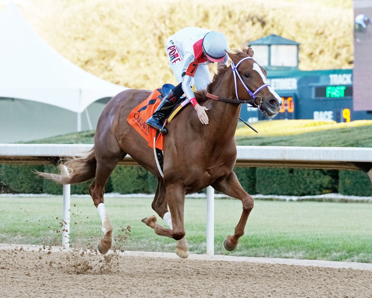FTBOA (@florida_horse) on Twitter photo G W’s Girl, Stunner Make Double #FloridaBred Threat in Grade 2 Beaumont <a href="/GregCompton9/">Greg Compton</a> <a href="/jose93_ortiz/">Jose Ortiz</a> <a href="/bradcoxracing/">Brad H. Cox Racing</a> <a href="/LNJFoxwoods/">LNJ Foxwoods</a>
#Wire2Wire #HorseRacing Read now: ftboa.com/g-ws-girl-stun…
Photo: ©Shelby Layne Ridgway / Coady Media G W’s Girl, Stunner Make Double #FloridaBred Threat in Grade 2 Beaumont <a href="/GregCompton9/">Greg Compton</a> <a href="/jose93_ortiz/">Jose Ortiz</a> <a href="/bradcoxracing/">Brad H. Cox Racing</a> <a href="/LNJFoxwoods/">LNJ Foxwoods</a>
#Wire2Wire #HorseRacing Read now: ftboa.com/g-ws-girl-stun…
Photo: ©Shelby Layne Ridgway / Coady Media