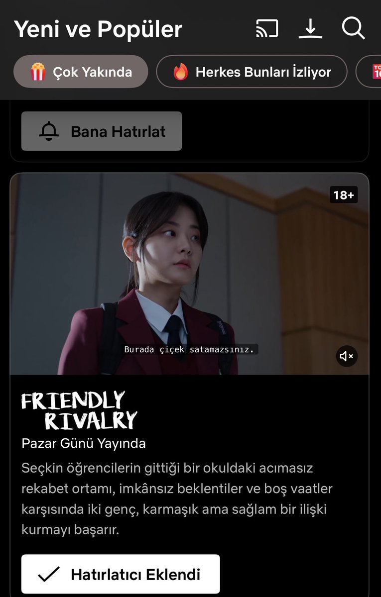 Ayh sonunda netflixe geliyor
