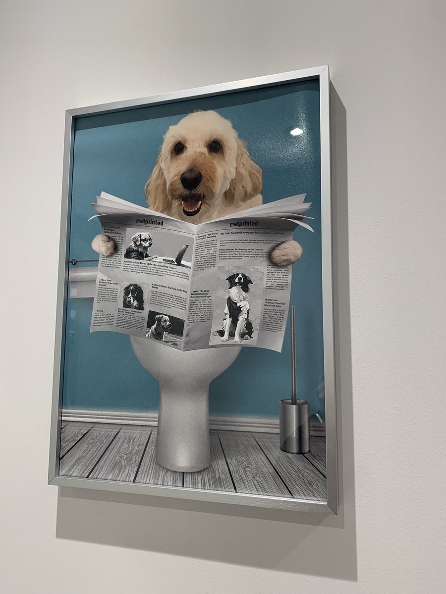 Susanne Driffield tweet media