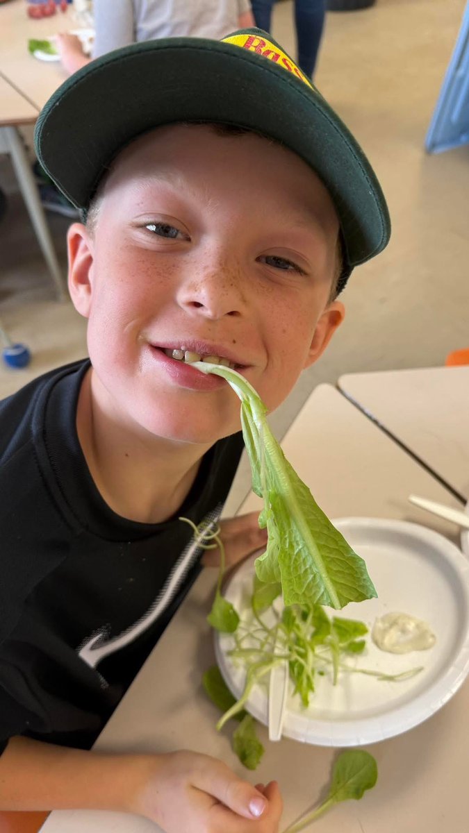 A.P. Low Primary School tweet media