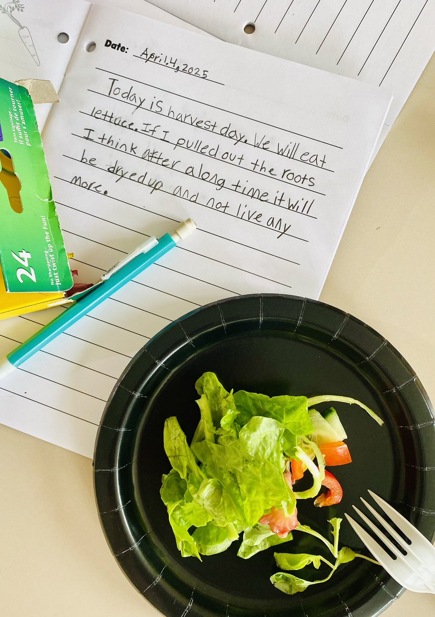 A.P. Low Primary School tweet media