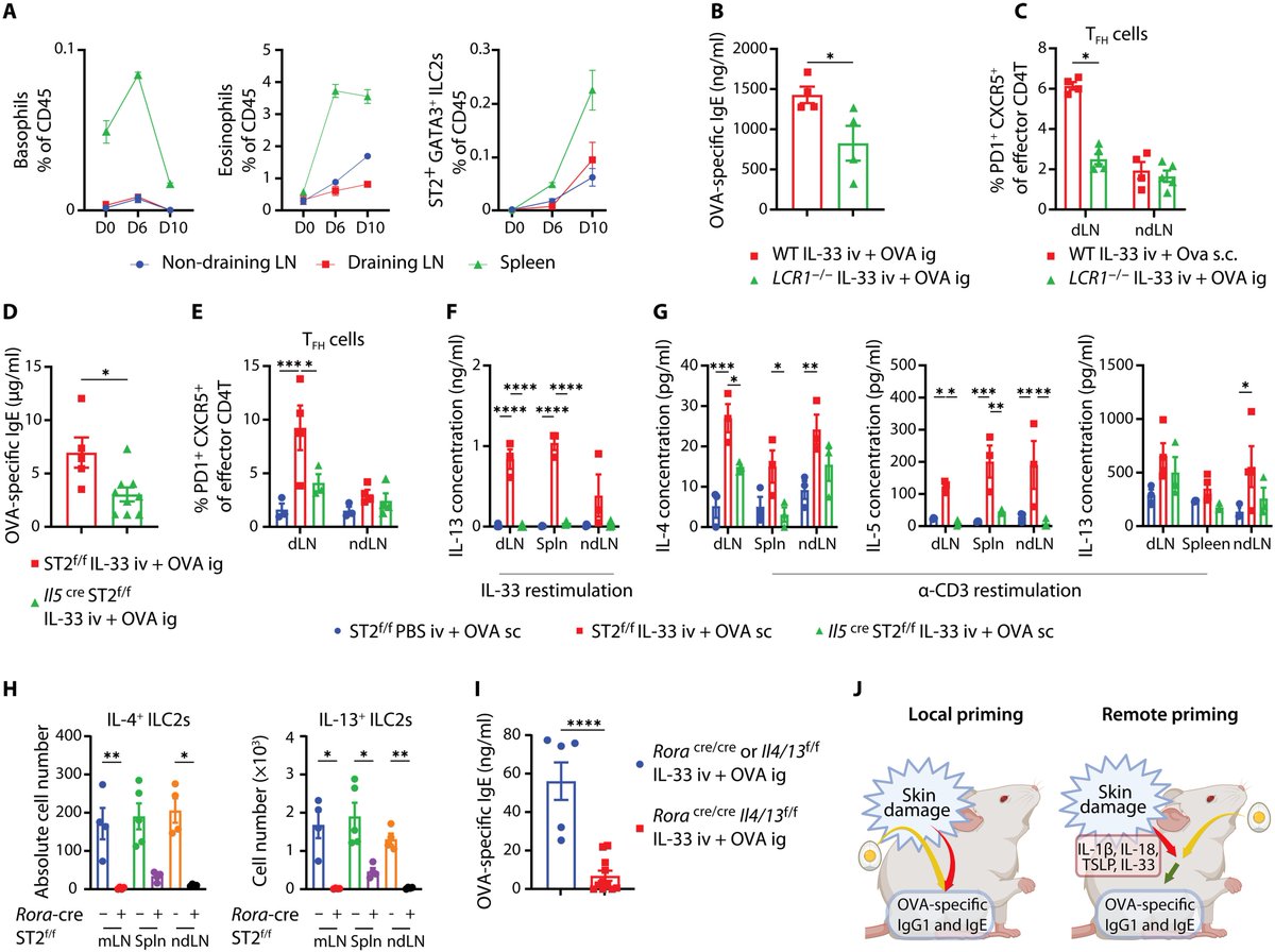 Waggoner Lab (@labwaggoner) on Twitter photo Skin injury releases damage-encoded systemic signals that can initiate immunity to novel antigens introduced at distal barrier sites <a href="/SciImmunology/">Science Immunology</a>
science.org/doi/10.1126/sc… Skin injury releases damage-encoded systemic signals that can initiate immunity to novel antigens introduced at distal barrier sites <a href="/SciImmunology/">Science Immunology</a>
science.org/doi/10.1126/sc…