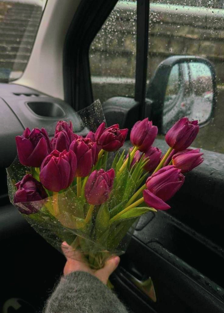 tulips