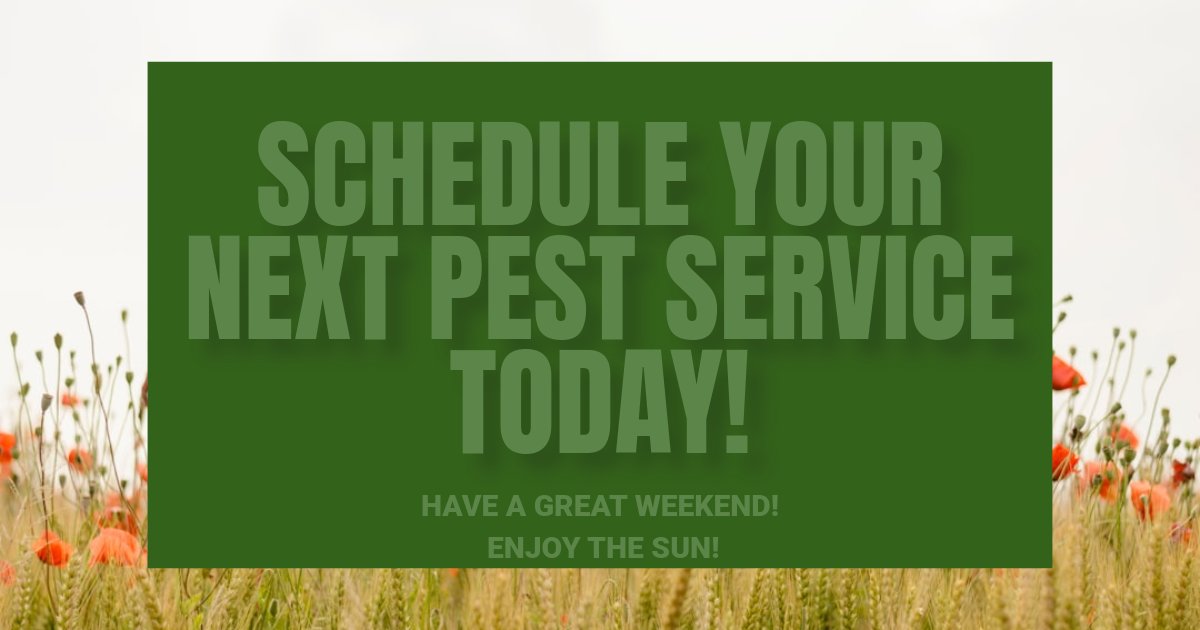 Bloomhomesrvcs's tweet photo. TGIF! As we embrace the weekend sunshine, remember that keeping your home pest-free is just a call away. Enjoy your days worry-free while we tackle those pesky intruders! #TGIFVibes #WeekendReady #PestControlHeroes #HomeSweetHome #EcoFriendlySolutions #WeekendWarriors https://t.co/rv3IxOqCD6