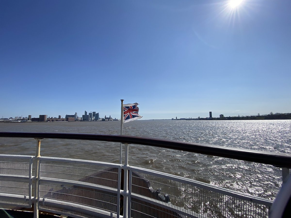 Alice Buckner tweet media