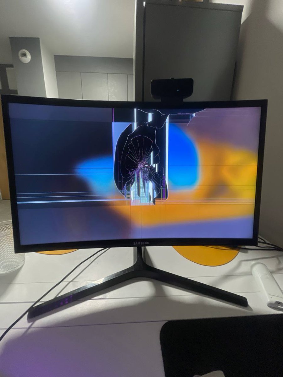 Maxiconia tweet media