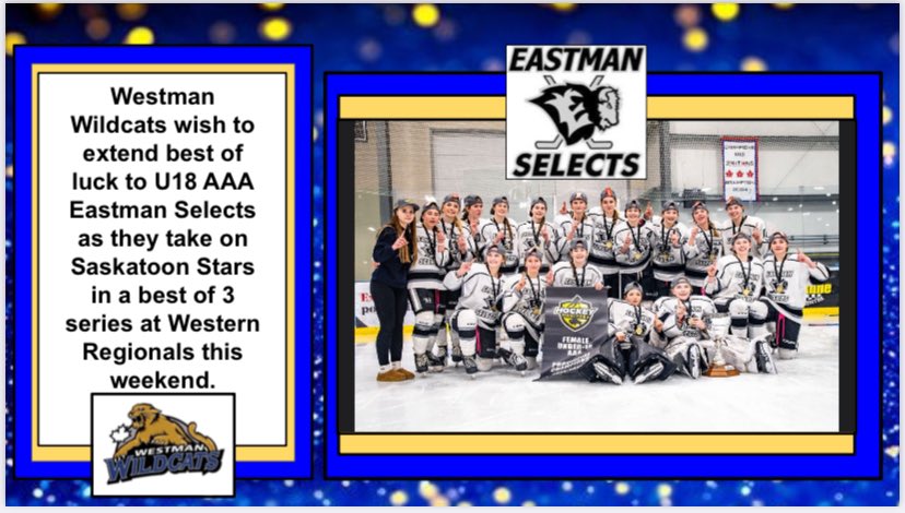 Westman Wildcats (@westmanaaa) on Twitter photo 