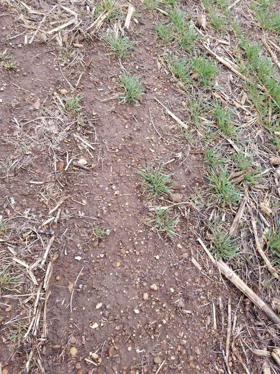 Contrary to popular belief, not every acre I farm is awesome.😉