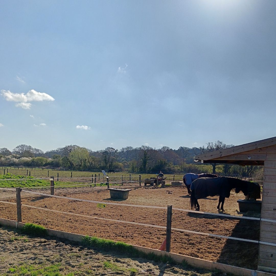 Our yard is such a special place to be, but feels even more so when the weather is as beautiful as it has been this week!
If you'd like to make this space your workplace we are currently hiring for a yard manager
yardandgroom.com/Job/UK/London/… 
#horses #vacancy
