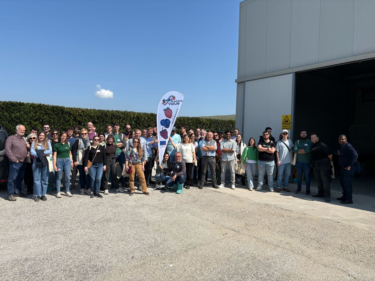 Breeding Value (@breedingvalue) on Twitter photo A beautiful day of visits by the <a href="/BreedingValue/">Breeding Value</a> group (partners and main European companies) to @
CIV, SalviVivai and Vivai Mazzoni, unique realities in Europe for the breeding and propagation of strawberries. A beautiful day of visits by the <a href="/BreedingValue/">Breeding Value</a> group (partners and main European companies) to @
CIV, SalviVivai and Vivai Mazzoni, unique realities in Europe for the breeding and propagation of strawberries.